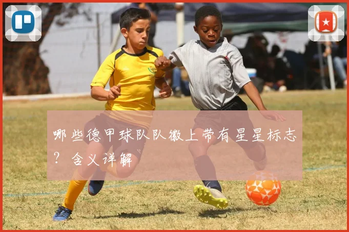 哪些德甲球队队徽上带有星星标志？含义详解