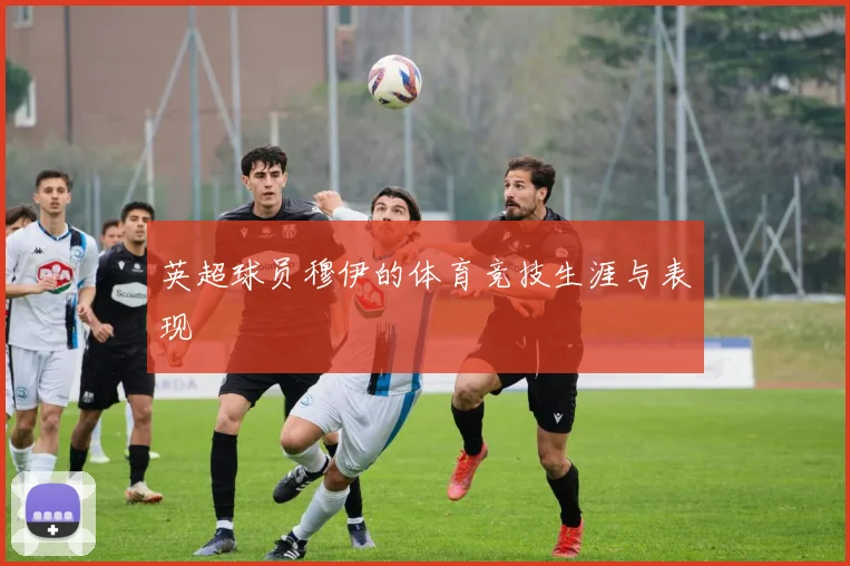 英超球员穆伊的体育竞技生涯与表现