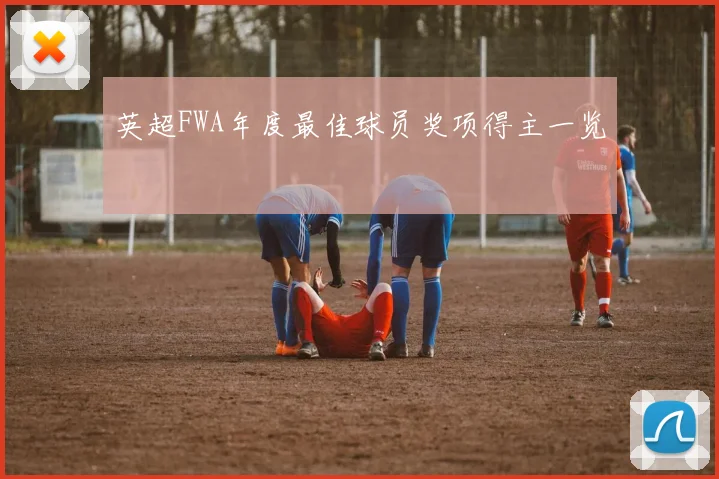 英超FWA年度最佳球员奖项得主一览