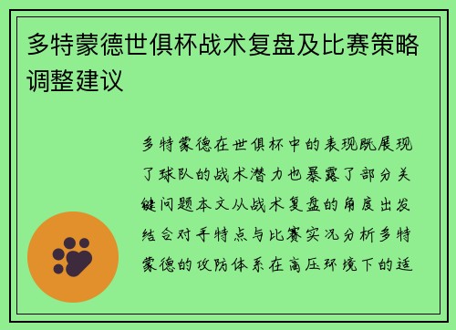 多特蒙德世俱杯战术复盘及比赛策略调整建议